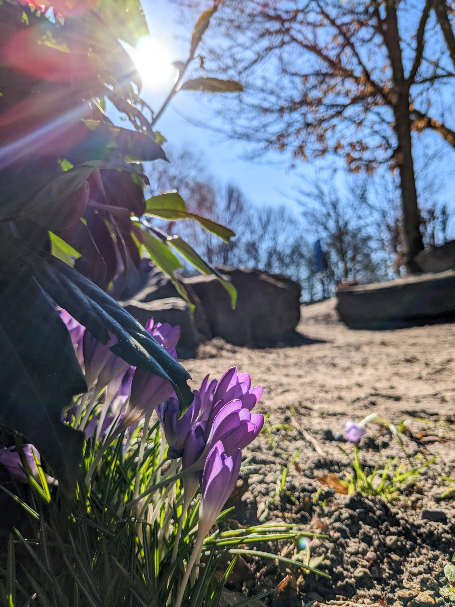 PXL_20230301_122218464