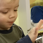 Gespensterschreck..so filigran!